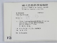 韌革菌屬藏品圖，第2張