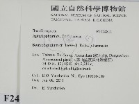 登錄號:F0024811藏品圖，第2張