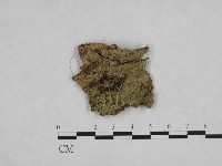 登錄號:F0024811藏品圖，第1張