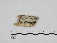 登錄號:F0024812藏品圖，第1張