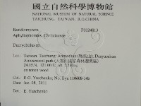 登錄號:F0024813藏品圖，第2張