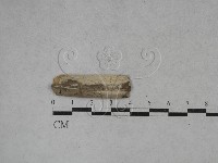 登錄號:F0024813藏品圖，第1張