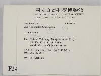 登錄號:F0024816藏品圖，第2張