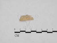 登錄號:F0024816藏品圖，第3張