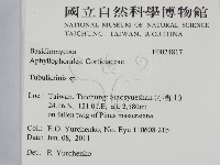 登錄號:F0024817藏品圖，第2張