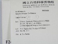 登錄號:F0024818藏品圖，第2張