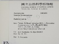 登錄號:F0024819藏品圖，第2張