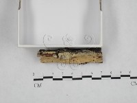 登錄號:F0024820藏品圖，第1張