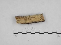 登錄號:F0024820藏品圖，第3張