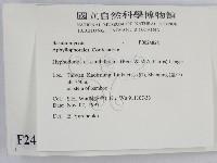 登錄號:F0024824藏品圖，第2張