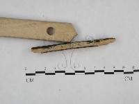 登錄號:F0024824藏品圖，第3張