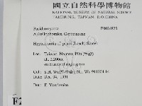 登錄號:F0024825藏品圖，第2張