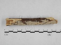 登錄號:F0024825藏品圖，第1張