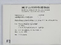 登錄號:F0024826藏品圖，第2張