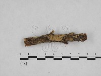 登錄號:F0024829藏品圖，第1張