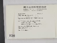 登錄號:F0024830藏品圖，第2張