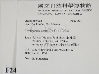 登錄號:F0024831藏品圖，第2張