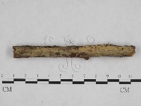 登錄號:F0024831藏品圖，第1張