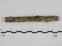 登錄號:F0024831藏品圖，第4張