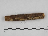 登錄號:F0024833藏品圖，第1張