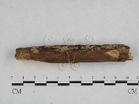 登錄號:F0024833藏品圖，第3張