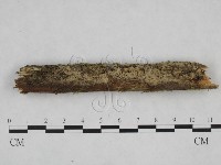 登錄號:F0024834藏品圖，第1張