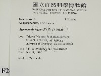 登錄號:F0024835藏品圖，第2張