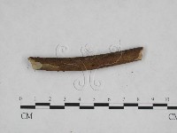 登錄號:F0024835藏品圖，第3張