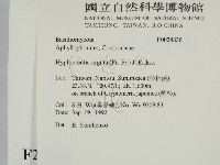 登錄號:F0024836藏品圖，第2張
