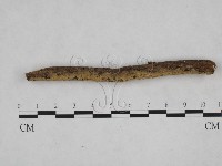 登錄號:F0024836藏品圖，第1張