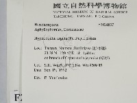 登錄號:F0024837藏品圖，第2張