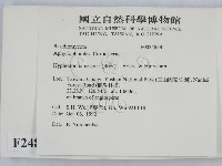 登錄號:F0024838藏品圖，第2張