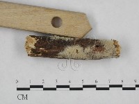 登錄號:F0024838藏品圖，第3張