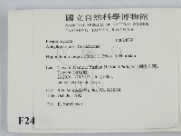 登錄號:F0024839藏品圖，第2張