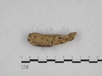 登錄號:F0024841藏品圖，第1張