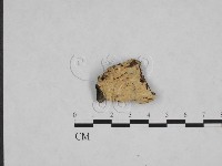 登錄號:F0024842藏品圖，第1張