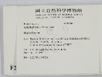 絲齒菌屬藏品圖，第2張