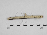 登錄號:F0024844藏品圖，第1張