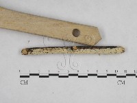 登錄號:F0024844藏品圖，第3張