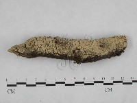 登錄號:F0024846藏品圖，第1張