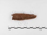 登錄號:F0024851藏品圖，第3張