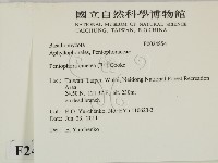 登錄號:F0024854藏品圖，第2張