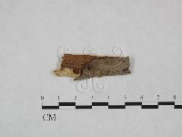 登錄號:F0024854藏品圖，第1張