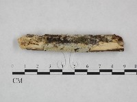 登錄號:F0024856藏品圖，第1張
