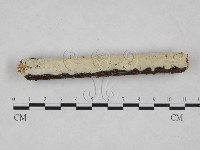 登錄號:F0024859藏品圖，第1張