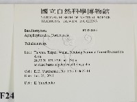 館號:F0024863藏品圖，第2張