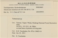 館號:F0024863藏品圖，第4張