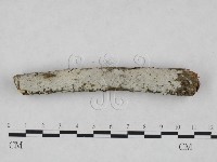 登錄號:F0024865藏品圖，第1張