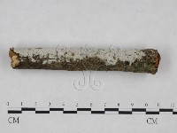 登錄號:F0024865藏品圖，第3張