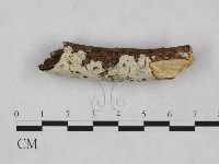 登錄號:F0024867藏品圖，第3張